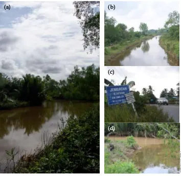 Gambar 3.  Kondisi Sungai Kuala Samboja (a), Sungai Hitam setahun setelah normalisasi (b), Jembatan Sungai Hitam (c), dan Lokasi pertemuan aliran Sungai Hitam dan Sungai Kuala Samboja (d)