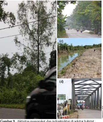 Gambar 9. Aktivitas masyarakat dan infrastruktur di sekitar habitat bekantan di Kuala Samboja