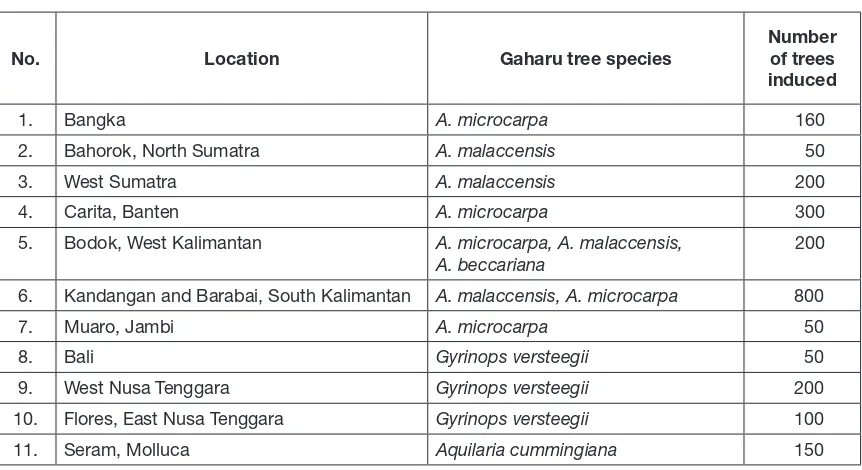 Table 6. Experimental plot of gaharu trees induction by deliberate tree drilling and Fusarium spp