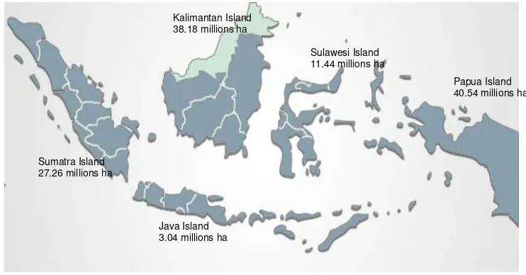 Figure 2.  Distribution of forest areas in some major island in Indonesia (Note: Forests in relatively small islands are not presented in the figure) 