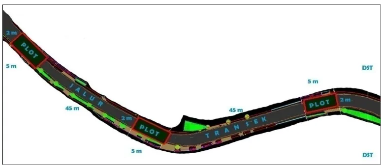 Gambar 1. Sketsa Tekhnik Pengambilan Data Amfibi di Sepanjang Jalur Transek