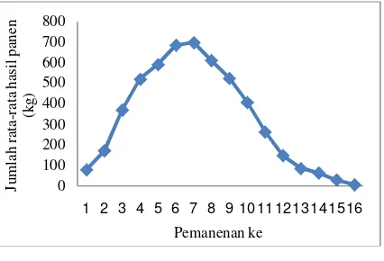 Tabel 3. Penggunaan tenaga kerja dalam usahatani cabai merah di Kecamatan KaliandaKabupaten Lampung Selatan perusahatani (0,37ha) 