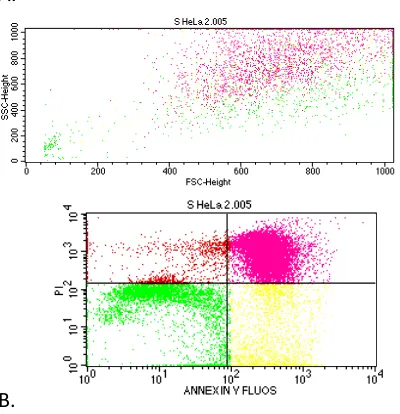 Gambar 1. Hasil flowsitometri 