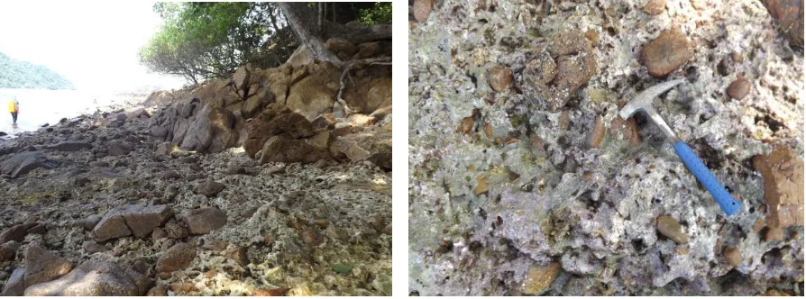 Figure 7. Andesite outcrop and residual activity of marine organisms on top of rocks. 