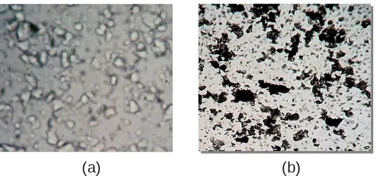 Gambar 3.  Morfologi permukaan silika induk (a) dan silika modifikasi-komplek    dengan perbesaran 400 x menggunakan mikroskop optis.