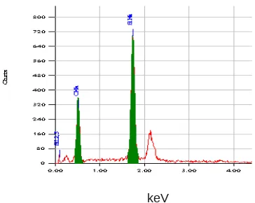 Gambar 1. Pola spektrum EDX dari silika induk