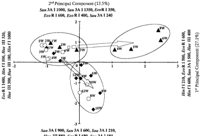 Fig. 3. Principal component analysis of RFLP patterns of the bacleIial communities associated with Moina sp