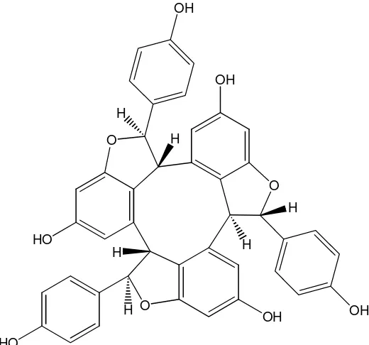 Figure 3. The molecule structure of α-viniferin 