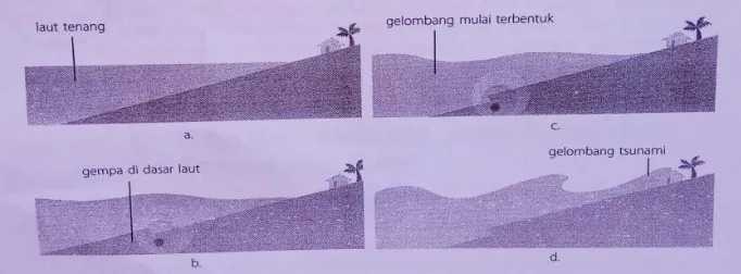 Gambar 2.2. Skema Terjadinya Tsunami Sumber (Haryanto, 2012: 210) 