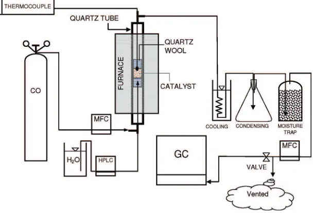Figure 1. Schematic of the experimental setup for the WGS reaction.