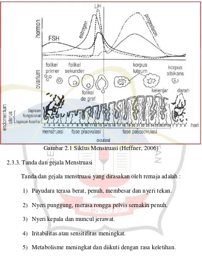 Gambar 2.1 Siklus Menstruasi (Heffner, 2006) 