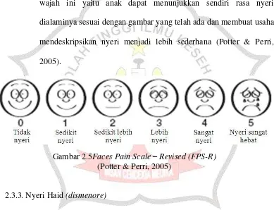 Gambar 2.5Faces Pain Scale – Revised (FPS-R) 