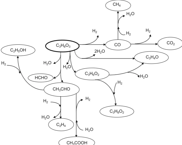 Fig. 1. Reaction pathways during glycerol reforming process.