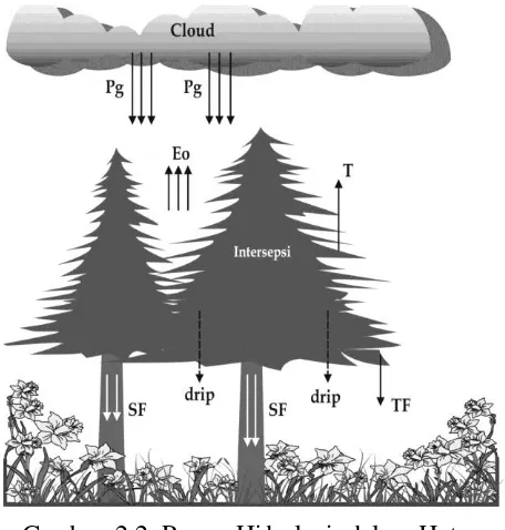 Gambar 2.2. Proses Hidrologi dalam Hutan 