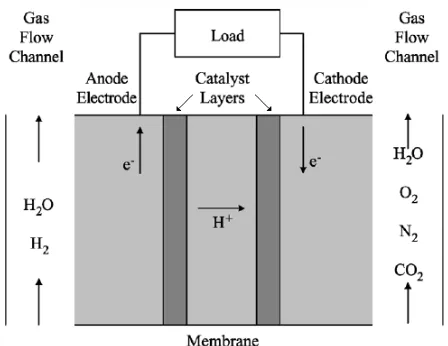 Figure 1. Schematic diagram of PEM fuel cell 