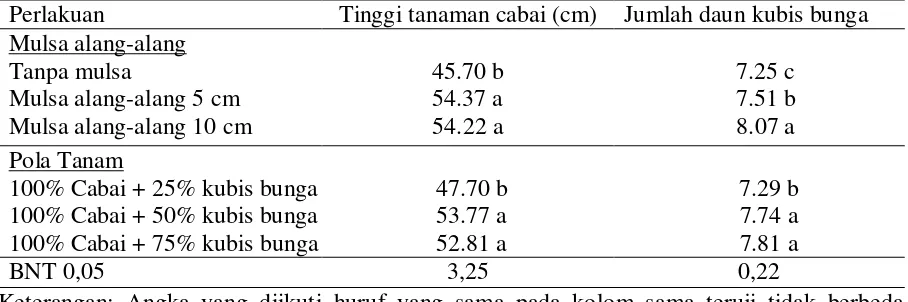 Tabel 2. Pengaruh mulsa alang-alang dan pola tanam tumpangsari cabai dengan kubis bunga terhadap tinggi tanaman cabai dan jumlah daun kubis bunga 8 MST