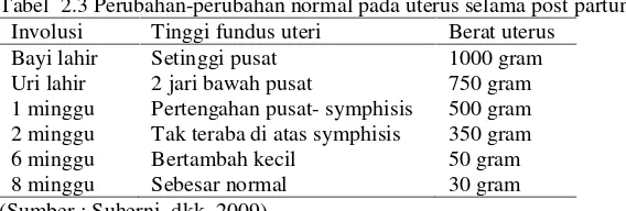 Tabel  2.3 Perubahan-perubahan normal pada uterus selama post partum