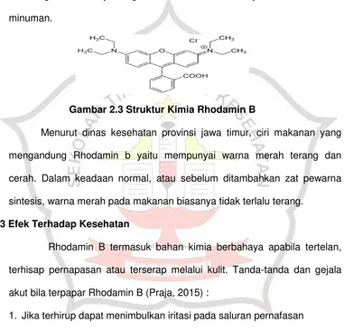 Gambar 2.3 Struktur Kimia Rhodamin B 