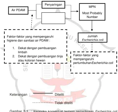 Gambar 3.1  : Kerangka konseptual tentang pemeriksaan Escherichia coli 