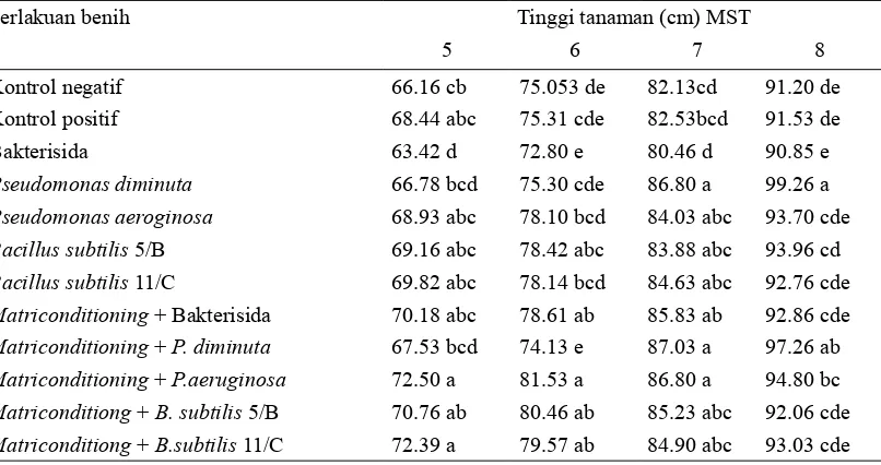 Tabel 1. Pengaruh perlakuan benih terhadap tinggi tanaman padi umur 5-8 minggu setelah tanam (MST)  