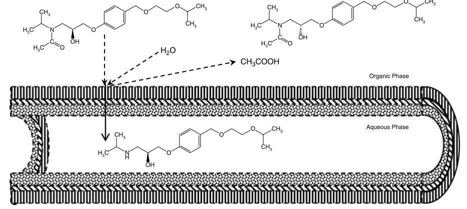 Figure 4. Kinetic resolution of a racemate in the TSP-EMR.