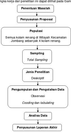 Gambar 4.1 Kerangka Kerja Identifikasi Bakteri Proteus sp. pada Air Kolam Renang di Wilayah Kecamatan Jombang