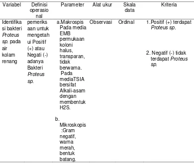 Tabel 4.2 Definisi Operasional Variabel tentang identifikai bakteri Proteus sp.