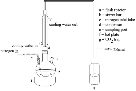Fig. 1: Catalytic activity test system for decarboxylation of palmitic acid. 