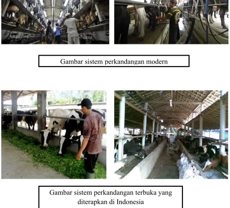 Gambar sistem perkandangan modern