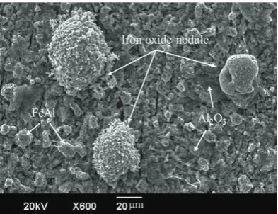 Fig. 2. SEM of surface morphology of the aluminized specimen exposed to steam at 700 °C for 49 h.