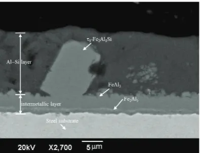 Fig. 3. SEM of cross-sectional micrograph of as coated specimen with EDS elements analyses.