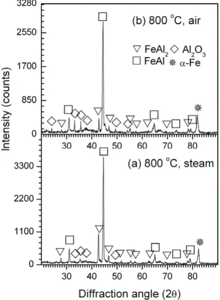 Fig. 5. SEM of surface morphology of aluminized steel oxidized at 750 ° C for 4 h (a) in steam; (b) in air.