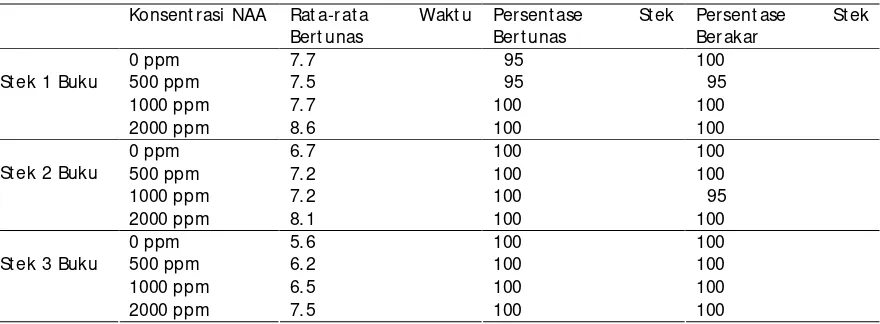 Tabel 1.  Persent ase bert unas (%), berakar (%) dan rat a-rat a waktu bertunas (hari set elah t anam) pada berbagai konsent rasi asam naft alen aset at dan j umlah buku st ek batang mini