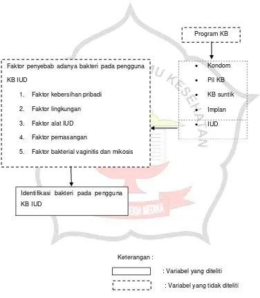 Gambar 3.1 Kerangka konseptual uji bakteriologi pada pengguna KB IUD di Puskesmas Mojowarno