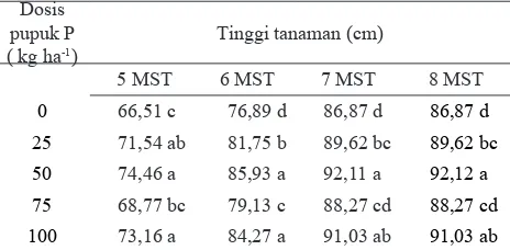 Tabel 1. Pengaruh dosis pupuk P terhadap tinggi tana-man umur 5-8 MST 