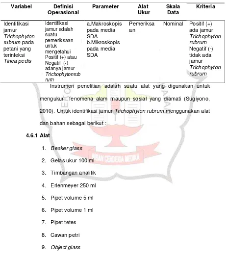 Tabel 4.1 Definisi Operasional Variabel tentang identifikasi jamur Trichophyton rubrum pada petani yang terinfeksi Tinea pedis