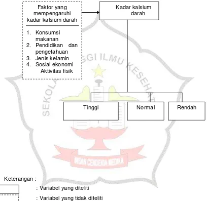 Gambar 3.1  Kerangka Konseptual Penelitian Kadar Kalsium Darah Pada Wanita Menopause di Desa Pulo Lor RT.07/RW.02 Kecamatan Jombang Kabupaten Jombang 