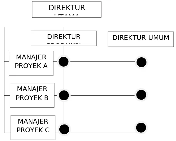 Gambar 2.3.8. struktur organisasi matriks