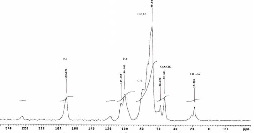 Fig. 5. 13C CP/MAS solid state NMR spectrum of esterified citrus pectin