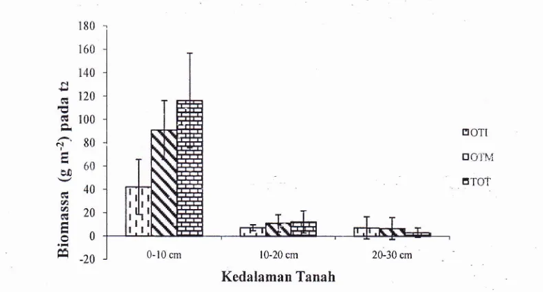 Gambar : Olah Tanah, beberapa t2: jagung : waktu OTI pengamatan setelah tanaman Olah Tanah Intensif ; OTM perlakuan sistem olah tanah dalam kedalamantanah yang berbeda
