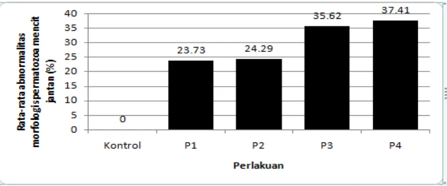 Gambar 3. Grafik rata-rata abnormalitas spermatozoa mencit (%) setelah pemaparan kebisingan