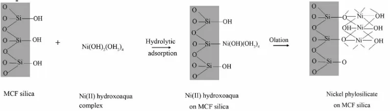 Figure 1. Mechanism of deposition-preposition adopted from Burattin et al. [29]. 