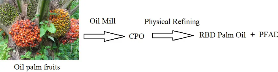 Fig. 1 Palm fatty acid distillate (PFAD) as a co-product of physical refining process of CPO to RBD palm oil  