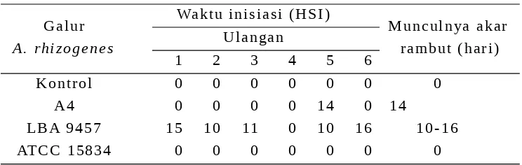 Tabel 1.Waktu Inisiasi Akar Rambut T. cacao yang ditransformasi dengan Beberapa Galur A