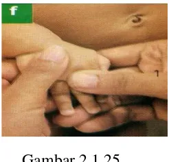 Gambar 2.1.25 