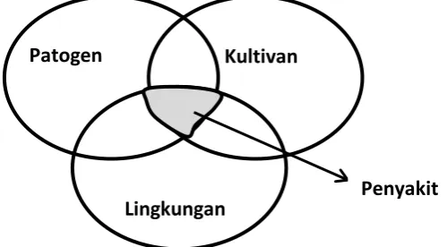 Gambar 2. Interaksi antara lingkungan, kultivan dan patogen  