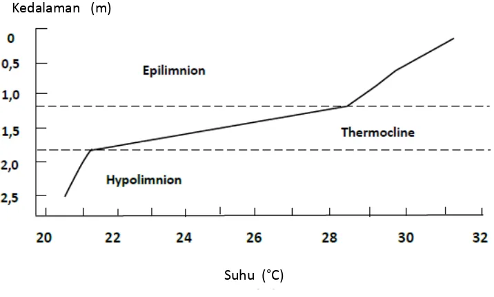 Gambar 6.  Stratifikasi suhu pada kolam  ikan  (Boyd, 1990) 