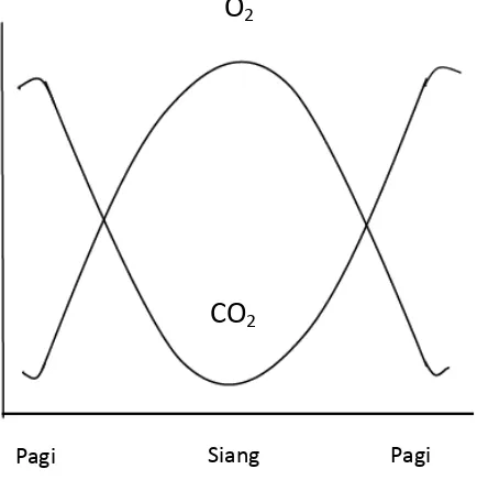 Gambar 10.   Siklus harian oksigen terlarut  (DO) dan karbondioksida (CO2) dalam kolam ikan 