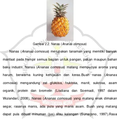 Gambar 2.2. Nanas (Ananas comosus) 