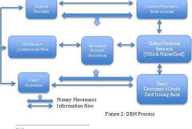 Figure 2: DRM Process  